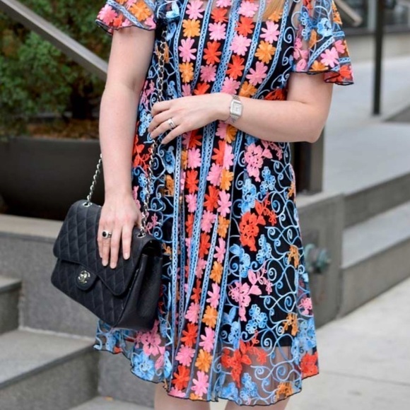 Anthropologie Eva Franco Embroidered Lined Mini Dress (see measurements) - Picture 2 of 12